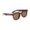TRANS BROWN