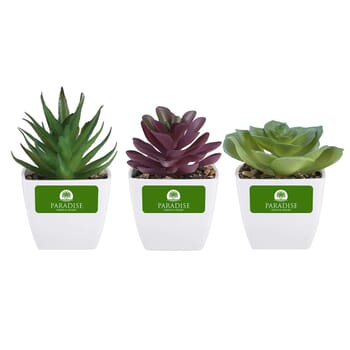 Sprout Artificial Succulent