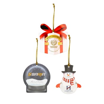 Acrylic Ornament - Custom Shape